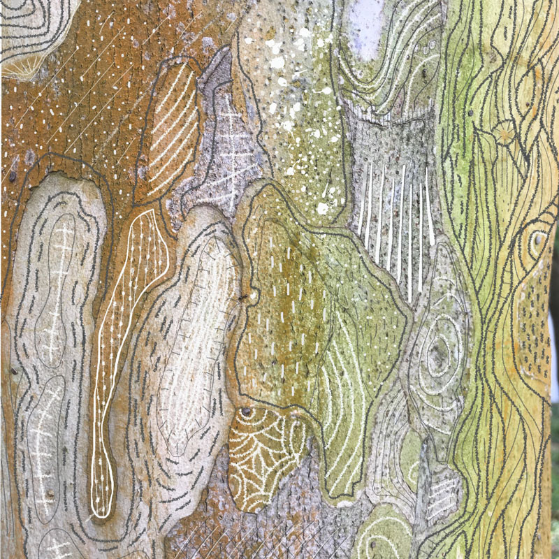 orange green bark pattern draw