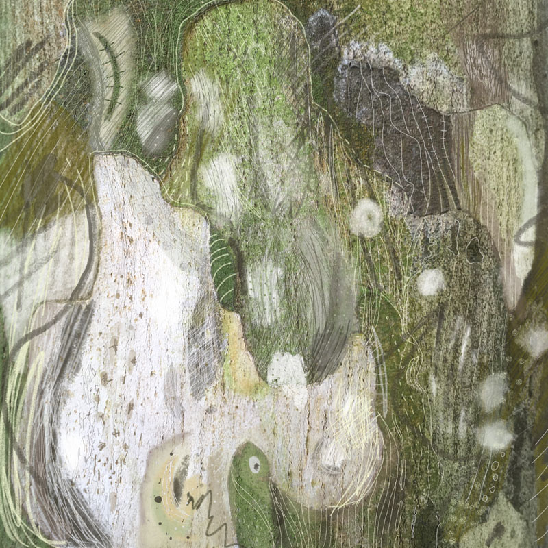 green bark draw