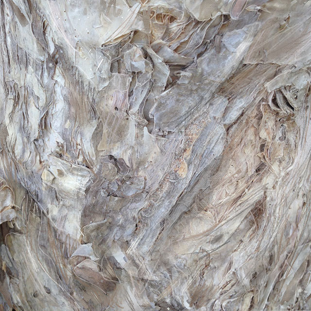 Bark Gray Flow