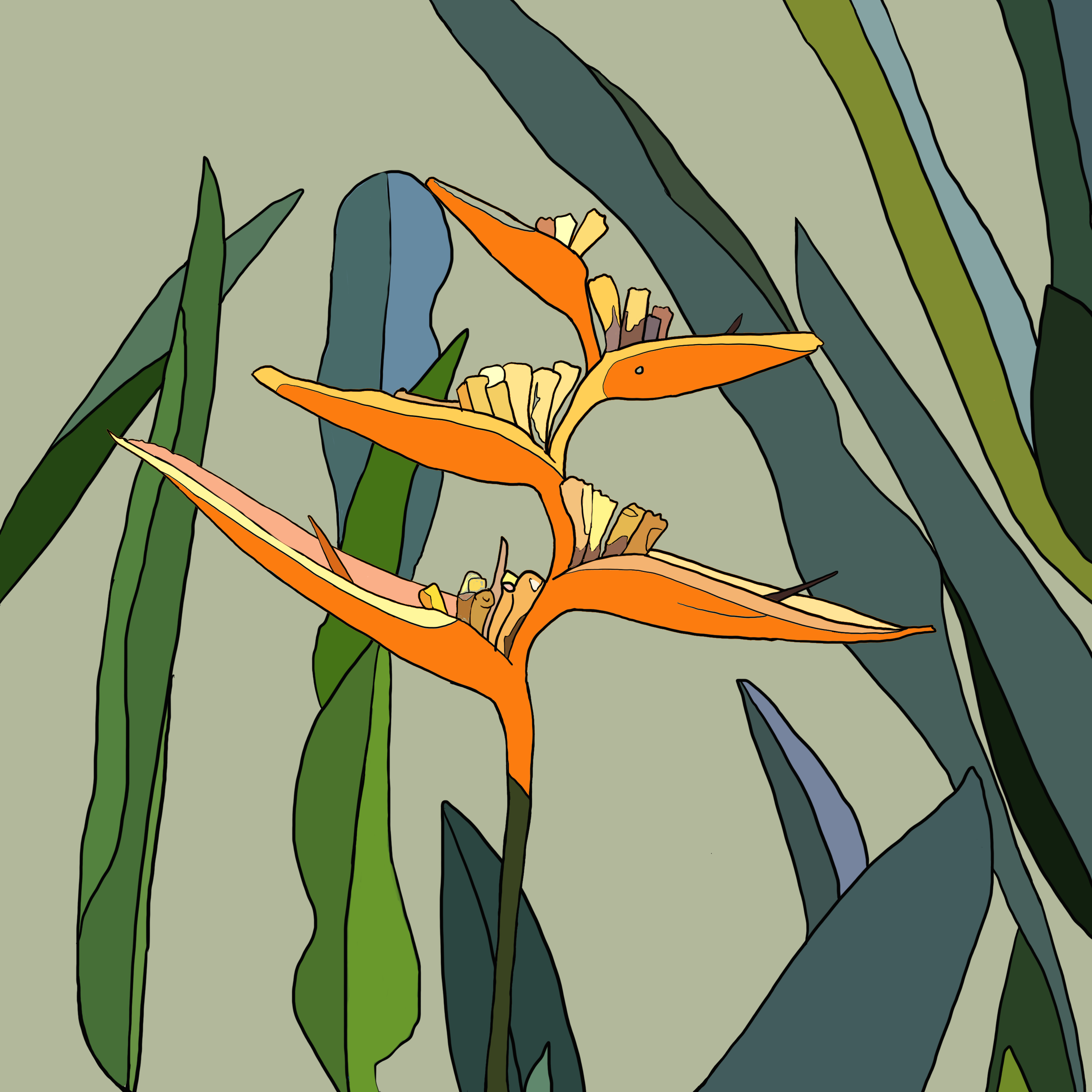 bird flower outline